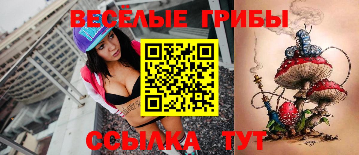 Новотроицк  Галлюциногенные грибы Cubensis  Вход с VPN 